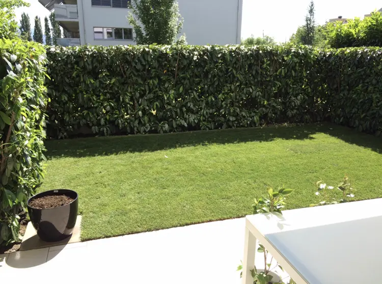 This was my little 'Paradise': the garden of the apartment I owned in Geneva